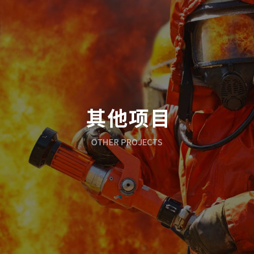 其他项目